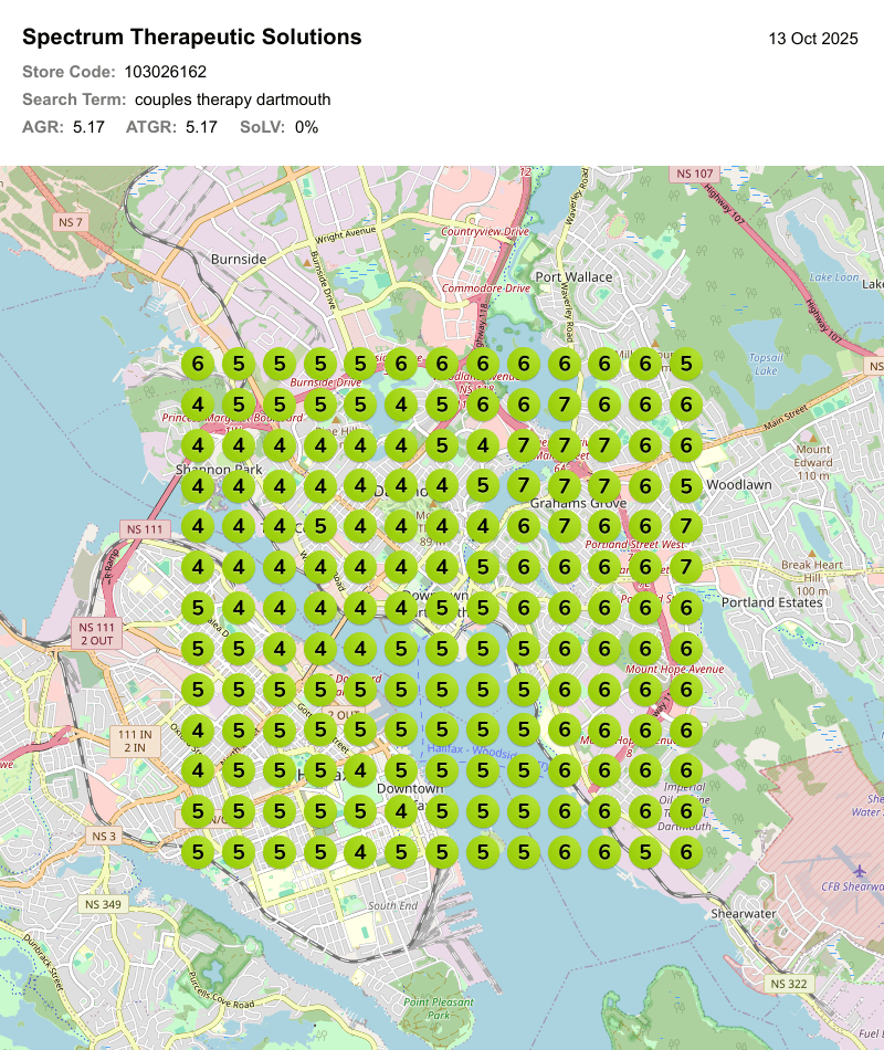 Geo Grid Local Ranking