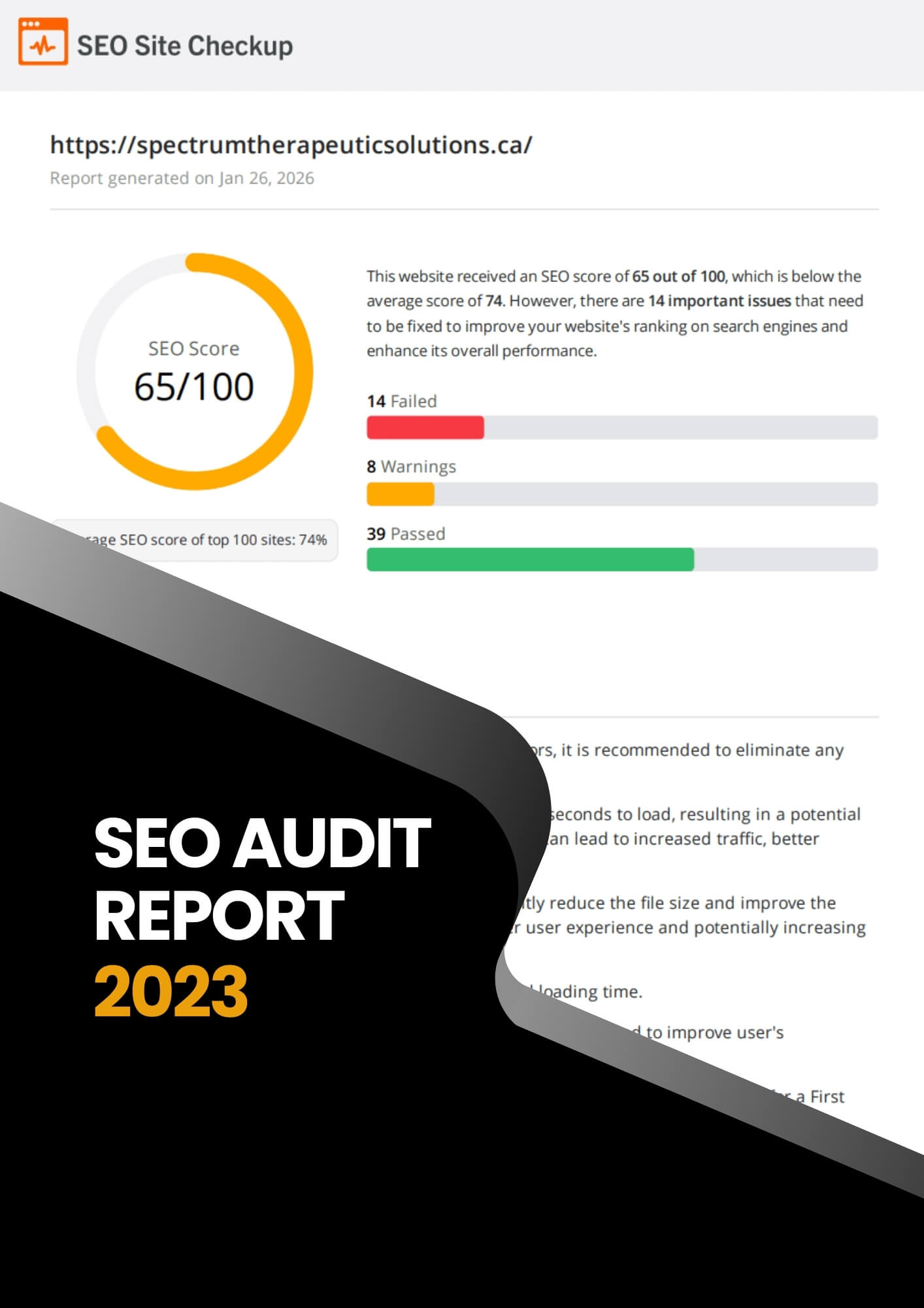 Overview of Our First Audit Report