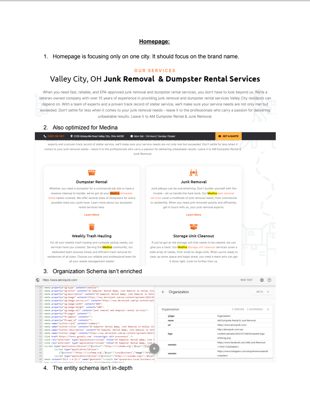Initial Site Audit Report