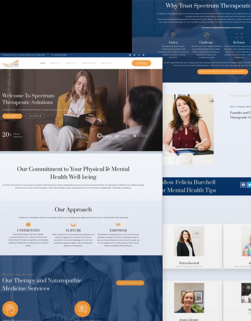 Spectrum Therapeutic Solutions SEO Case Study