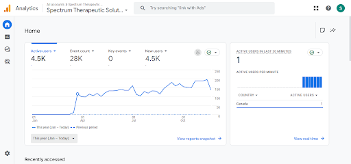 Google Analytics Report of 2025 Traffic Overview